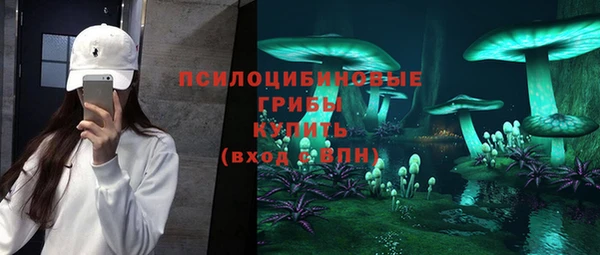 прущие крисы Алексеевка