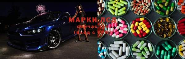 прущие крисы Алексеевка