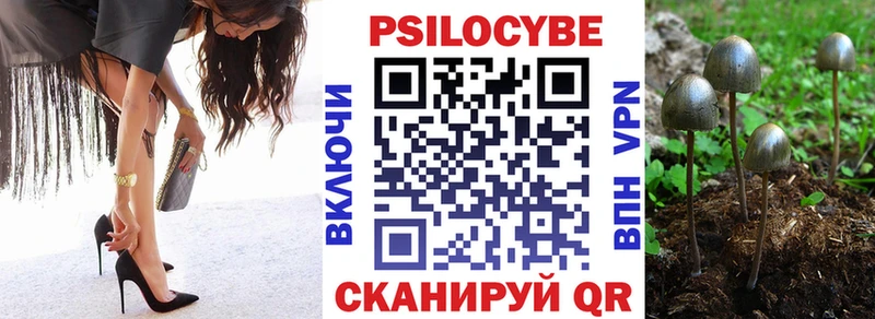 OMG ТОР  Тимашёвск  Псилоцибиновые грибы Cubensis 