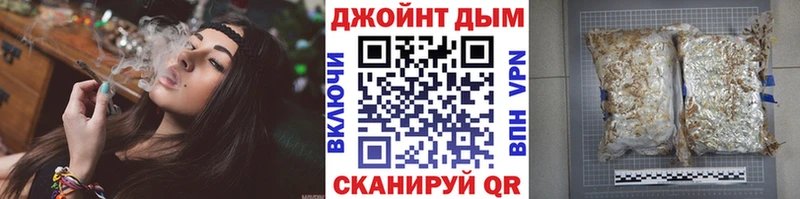 Бошки Шишки планчик  Тимашёвск 